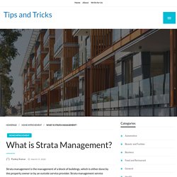 What is Strata Management?