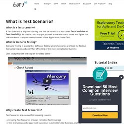 What is Test Scenario?