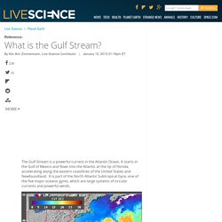 What is the Gulf Stream?