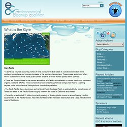 What is the Gyre - Gyre Clean Up Project