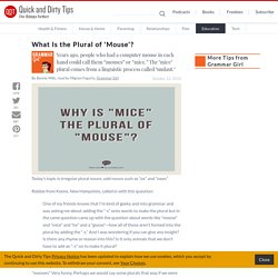 What Is the Plural of 'Mouse'?