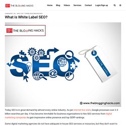 What is White Label SEO? -