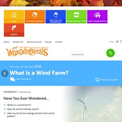What Is a Wind Farm?