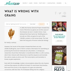 What Is Wrong With Grains