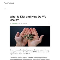 What is Kief and How Do We Use It?
