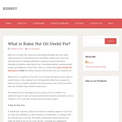 What is Kukui Nut Oil Useful For? ~ Kshrey