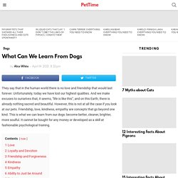 What Can We Learn From Dogs - PetTime