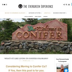 Conifer Co