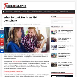 What To Look For in an SEO Consultants