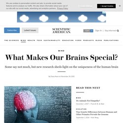 What Makes Our Brains Special?