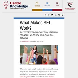 What Makes SEL Work?