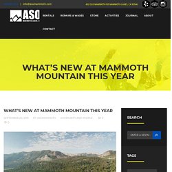 What’s New at Mammoth Mountain This Year - ASO Mammoth