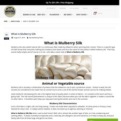 What is Mulberry Silk? Find The Best Answer