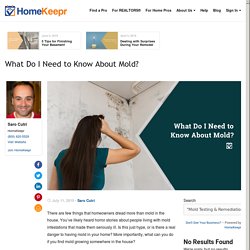 What Do I Need to Know About Mold?