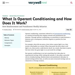 What Is Operant Conditioning and How Does It Work?