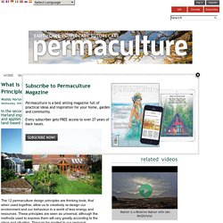 what is permaculture: 12 principles