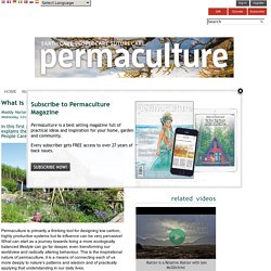 what is permaculture: three ethics