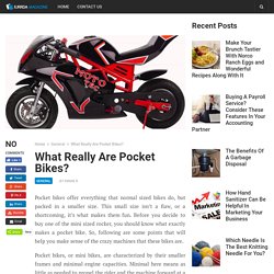 What Really Are Pocket Bikes?
