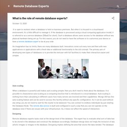 What is the role of remote database experts?