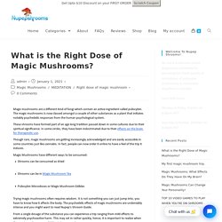 What is the Right Dose of Magic Mushrooms? -