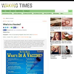 What's in a Vaccine?