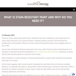 What Is Stain-Resistant Paint and Why Do You Need It?