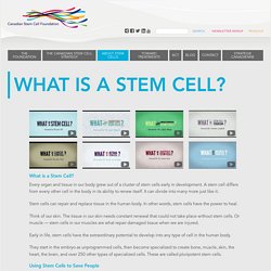 Canadian Stem Cell Foundation