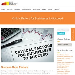 What are the 7 Success Factors for Your Business?