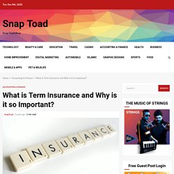 What is Term Insurance and Why is it so Important?