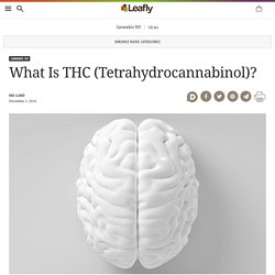 What Is THC (Tetrahydrocannabinol)?