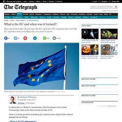 What is the EU and when was it formed?