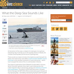 What the Deep Sea Sounds Like