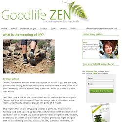 What is the Meaning of Life? Goodlife Zen