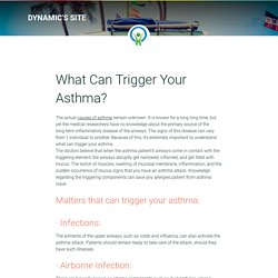 What Can Trigger Your Asthma?