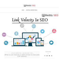 What is Link Velocity in SEO & How to Calculate Link Velocity