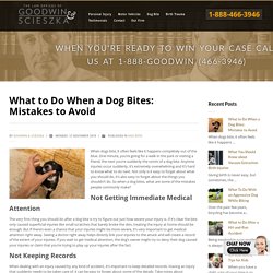What to Do When a Dog Bites: Mistakes to Avoid