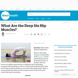What and Where the Hip Muscles Called the Deep Six Are