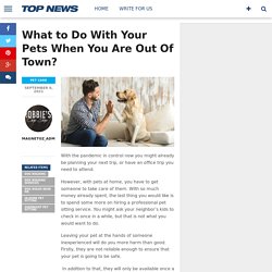 What to Do With Your Pets When You Are Out Of Town?