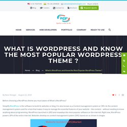 What is WordPress and Know the Most Popular WordPress Theme?