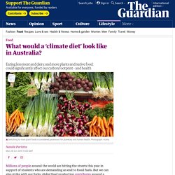 What would a ‘climate diet’ look like in Australia?