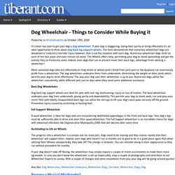 Dog Wheelchair - Things to Consider While Buying it