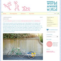 Bicycle Trailer - World Sweet World Blog