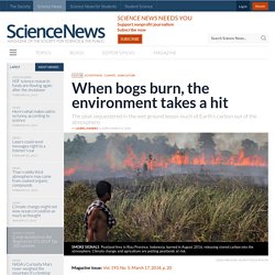 When bogs burn, the environment takes a hit
