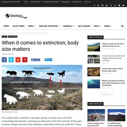 When it comes to extinction, body size matters