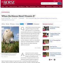 When Do Horses Need Vitamin E?