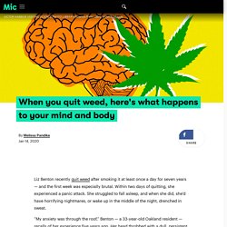 When you quit weed, here's what happens to your mind and body