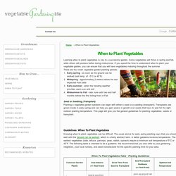 When to Plant Vegetables