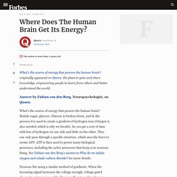 Where Does The Human Brain Get Its Energy?