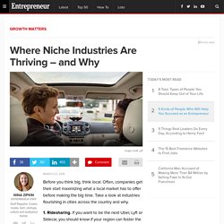 Where Niche Industries Are Thriving – and Why