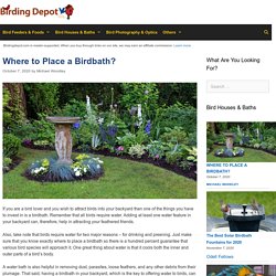 Where to Place a Birdbath?